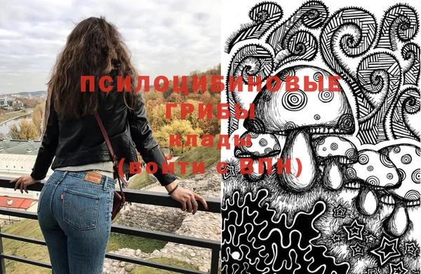 амф Кадников
