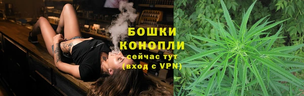 стаф Тобольск